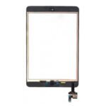 ipad mini stikliukas