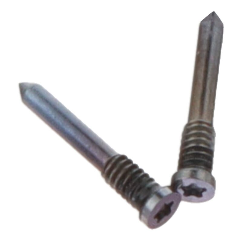 Apatiniai varžtai skirti iPhone 14 Pro Max - Purple - 2vnt